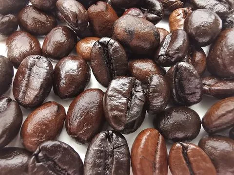 Coffee bean isolated on white background Stock Photos