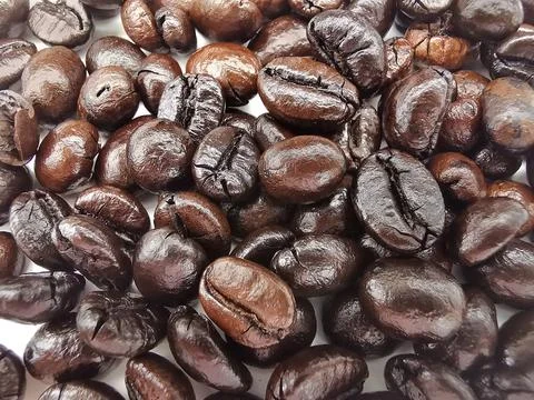Coffee bean isolated on white background Stock Photos