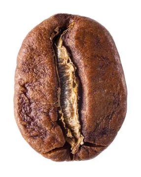 Coffee bean macro isolated Fotos de archivo