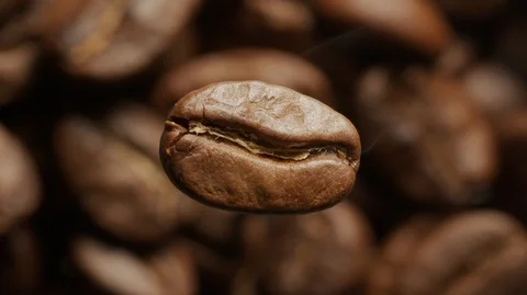 Coffee bean macro rotates, below - the background of roasting coffee beans. Stock Footage 120828033