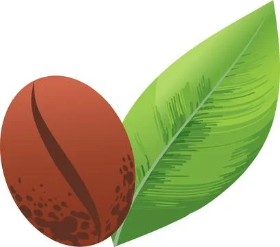 A coffee bean next to one green leaf Stock Illustration