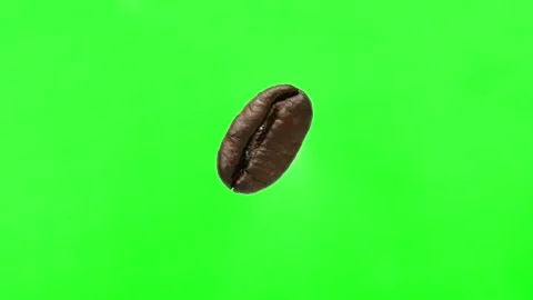 The coffee bean is one on the chromakey. Coffee bean rotates on green background Stock Footage 200379098