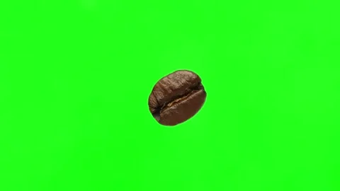 The coffee bean is one on the chromakey, green background. Video stock 195297736