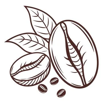 Coffee Bean Outline Vector Icon for Cafe and Beverage Design Stock Illustration