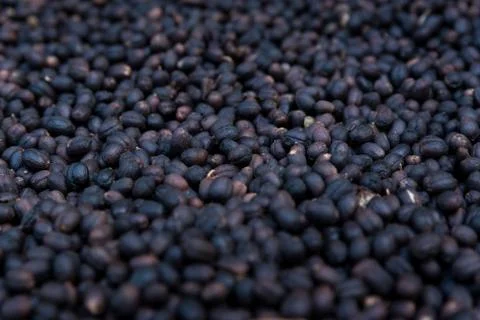 Coffee bean pattern. Stock Photos