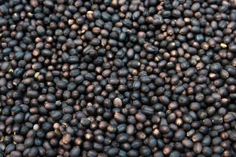 Coffee bean pattern. Stock Photos