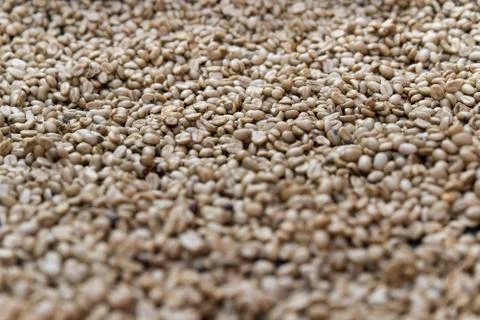 Coffee bean pattern. Foto stock