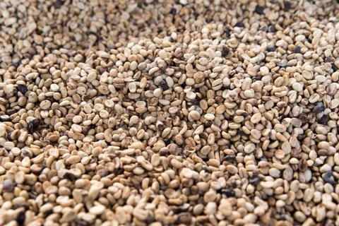 Coffee bean pattern. Stock Photos