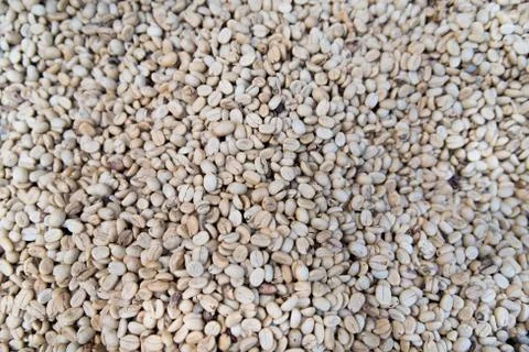 Coffee bean pattern. Stock Photos