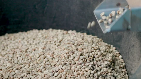Coffee bean peeling machine with water, Fresh coffee beans milling in machine Stock Footage 144592407
