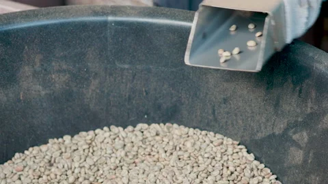 Coffee bean peeling machine with water, Fresh coffee beans Stock Footage 145632930