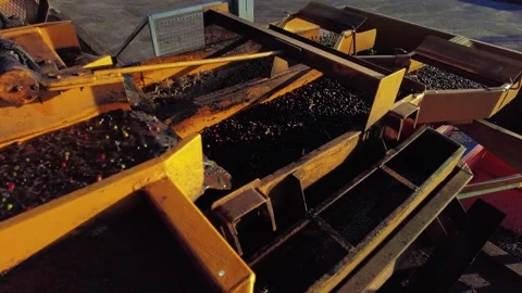 Coffee bean peeling machine with water Stock Footage 303590241