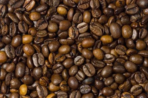 Coffee bean Stock Photos