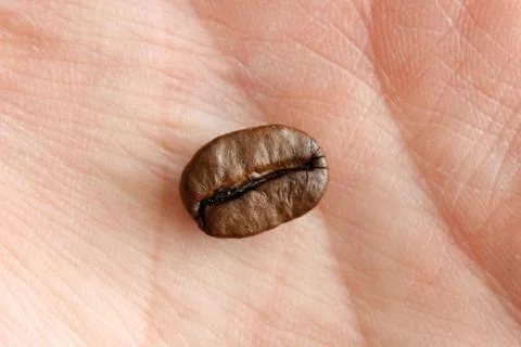 Coffee bean Stock Photos