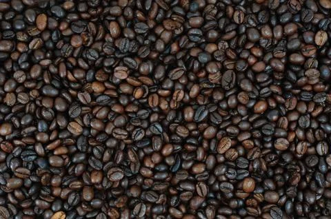 Coffee bean Stock-Fotos