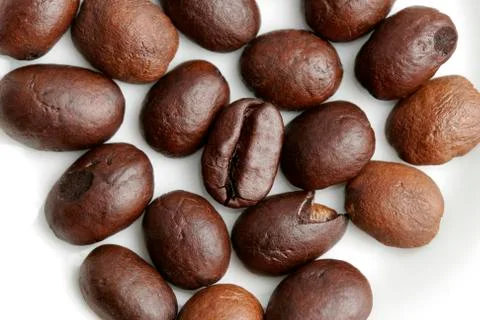 Coffee bean Fotos de archivo