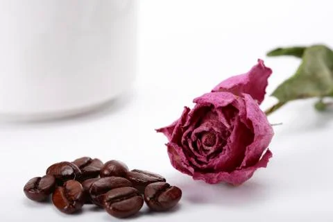 Coffee bean Stock Photos