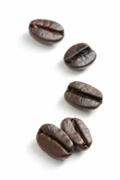 Coffee bean Stock Photos