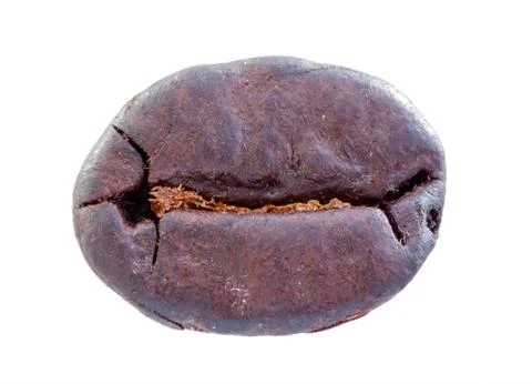Coffee bean. Stock Photos