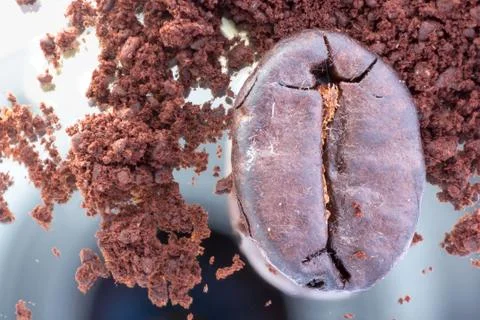 Coffee bean. Stock Photos