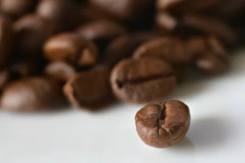 Coffee bean Stock Photos