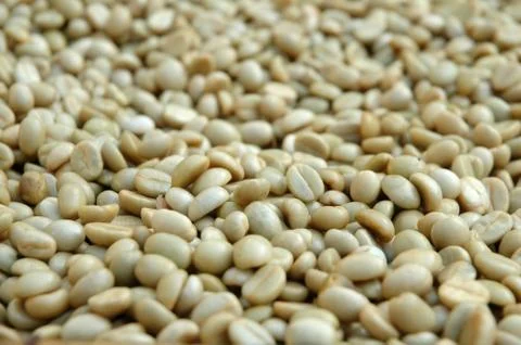 Coffee bean Stock-Fotos