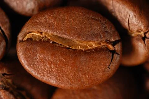 Coffee bean 库存照片