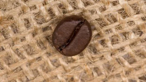 Coffee bean Stock Photos