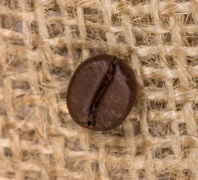 Coffee bean Stock Photos