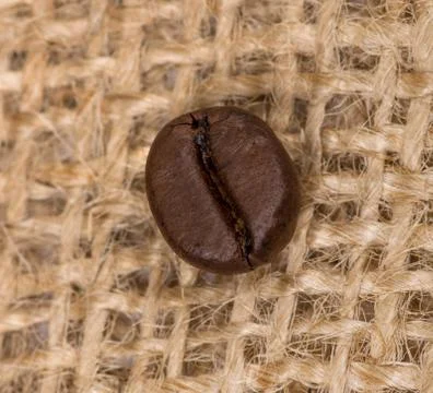 Coffee bean Stock Photos