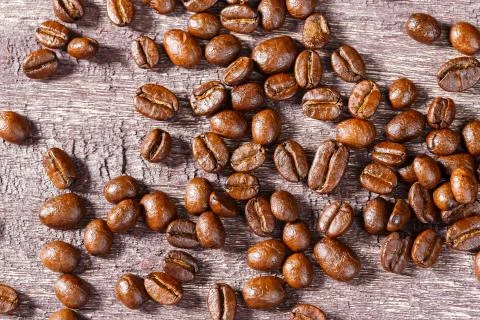 Coffee bean Stock Photos