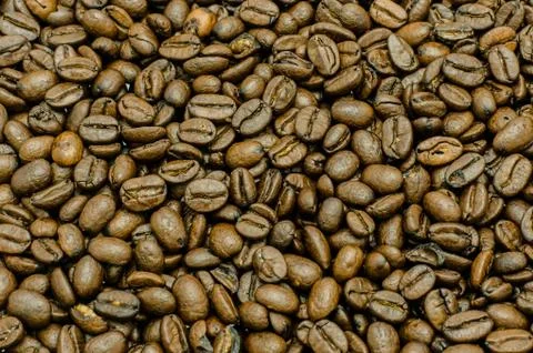 Coffee bean Stock Photos