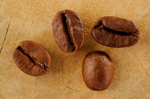 Coffee bean Stock Photos