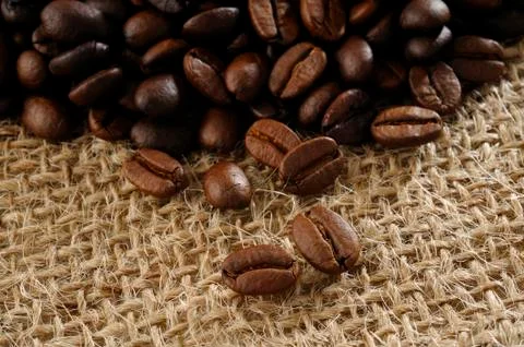 Coffee bean Stock Photos