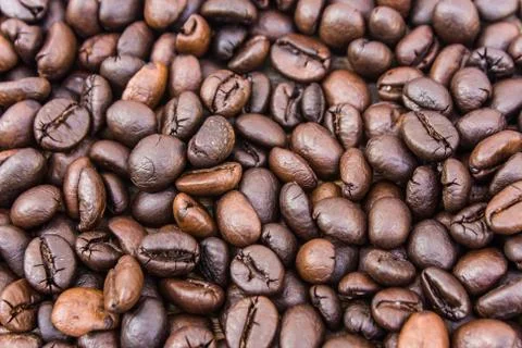 Coffee bean Stock Photos