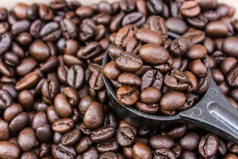 Coffee bean Stock Photos