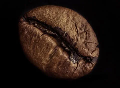 Coffee bean Fotos de archivo