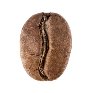 Coffee bean Stock Photos