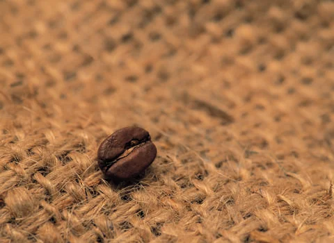 Coffee Bean Stock Photos