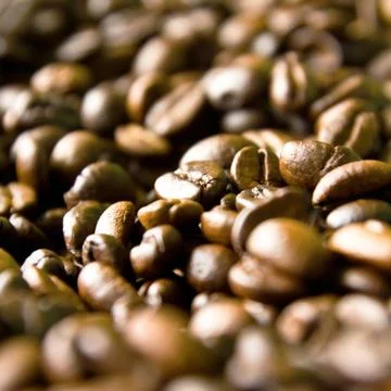 Coffee bean Stock Photos