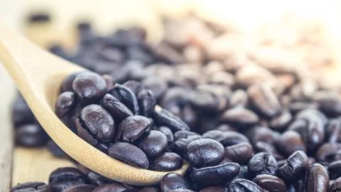 Coffee bean Stock Photos