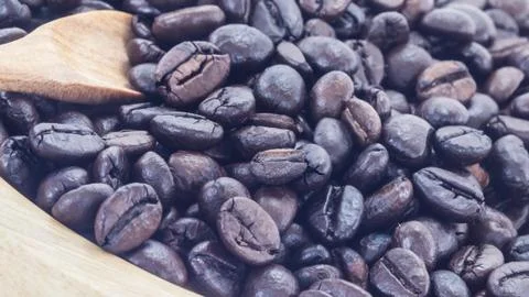 Coffee bean Stock Photos