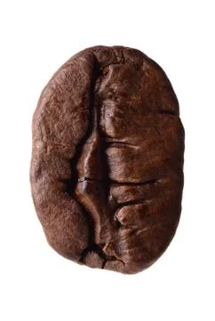 Coffee bean Stock Photos