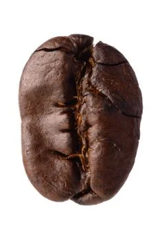 Coffee bean Stock Photos