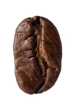 Coffee bean Stock Photos