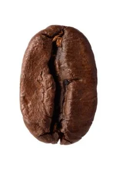 Coffee bean Stock Photos