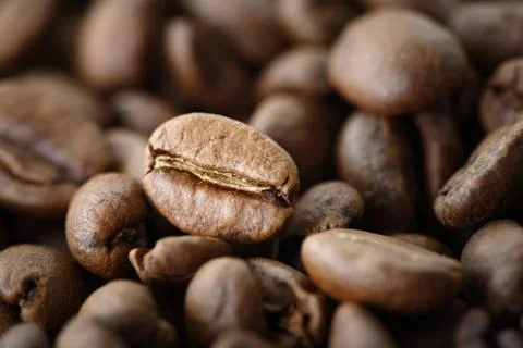 Coffee bean Stock Photos