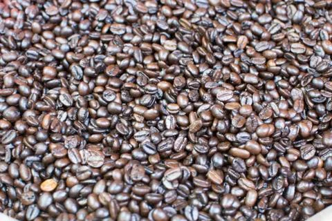 Coffee bean Stock Photos