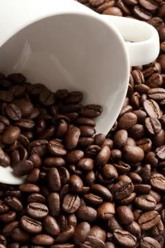 Coffee Bean Stock Photos