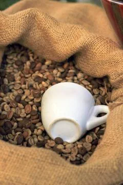 Coffee Bean Foto stock